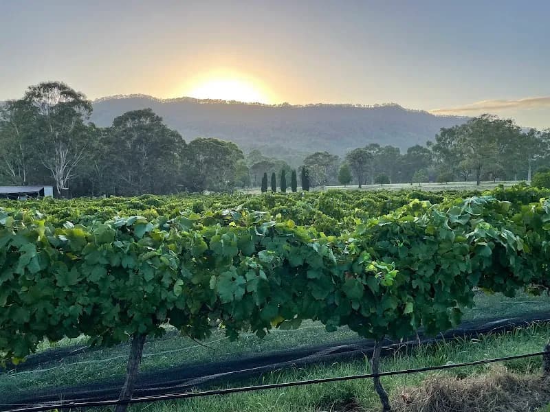 Thistle Hill winery in Mudgee, NSW