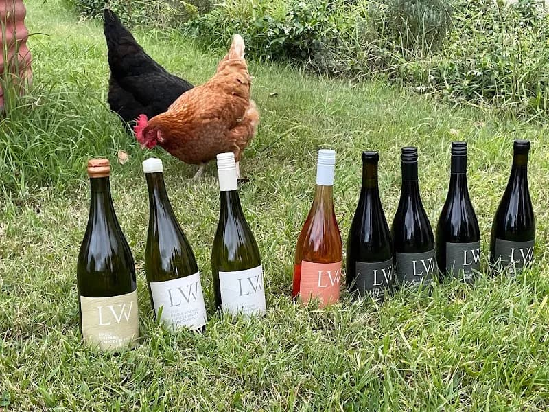 Thistle Hill winery in Mudgee, NSW