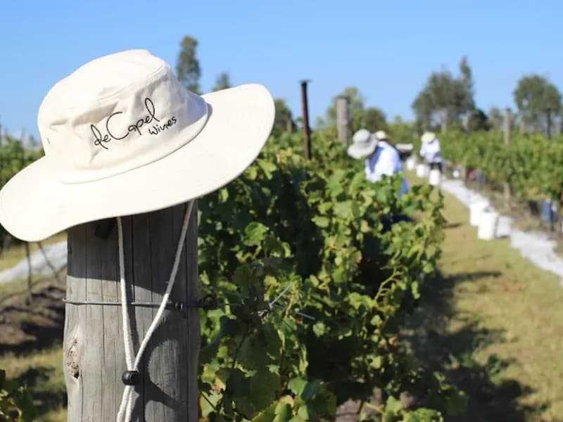 Cooyal Grove winery in Mudgee, NSW