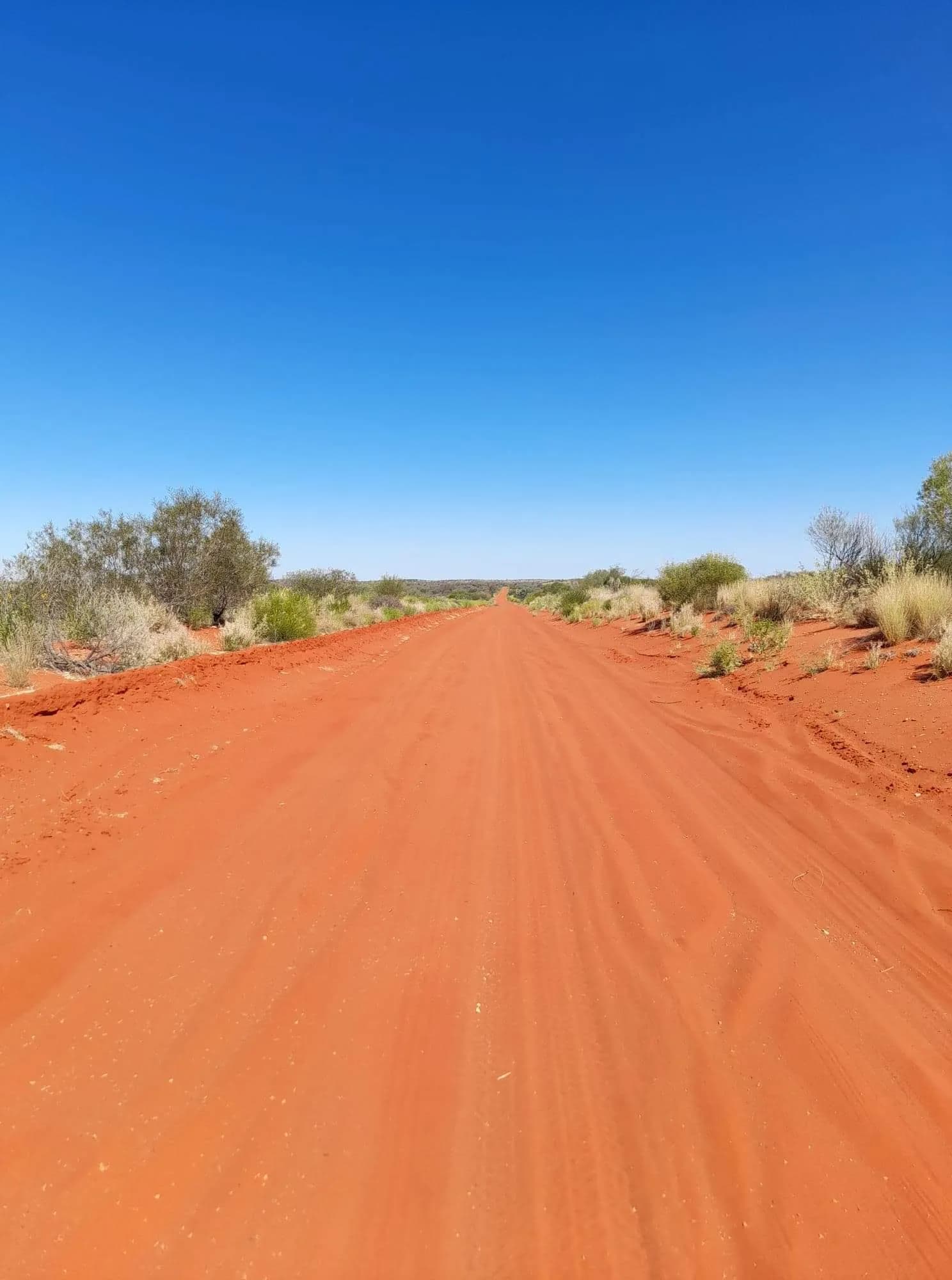 Red dirt road stretching through the outback on the Finke Track