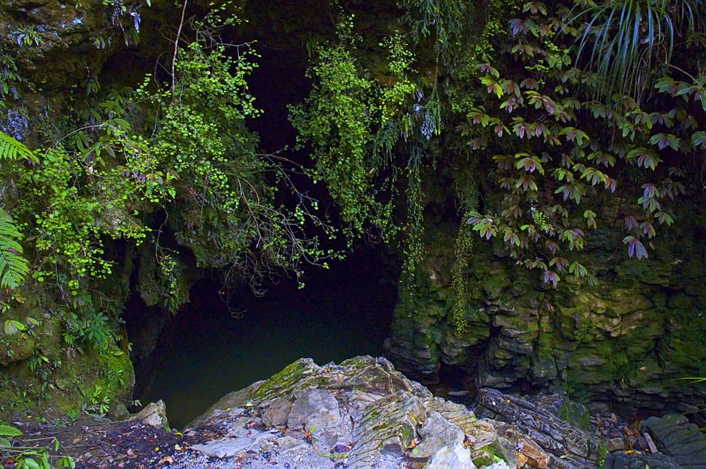Waitomo Glowworm Caves — cave in Waitomo, waikato, New Zealand