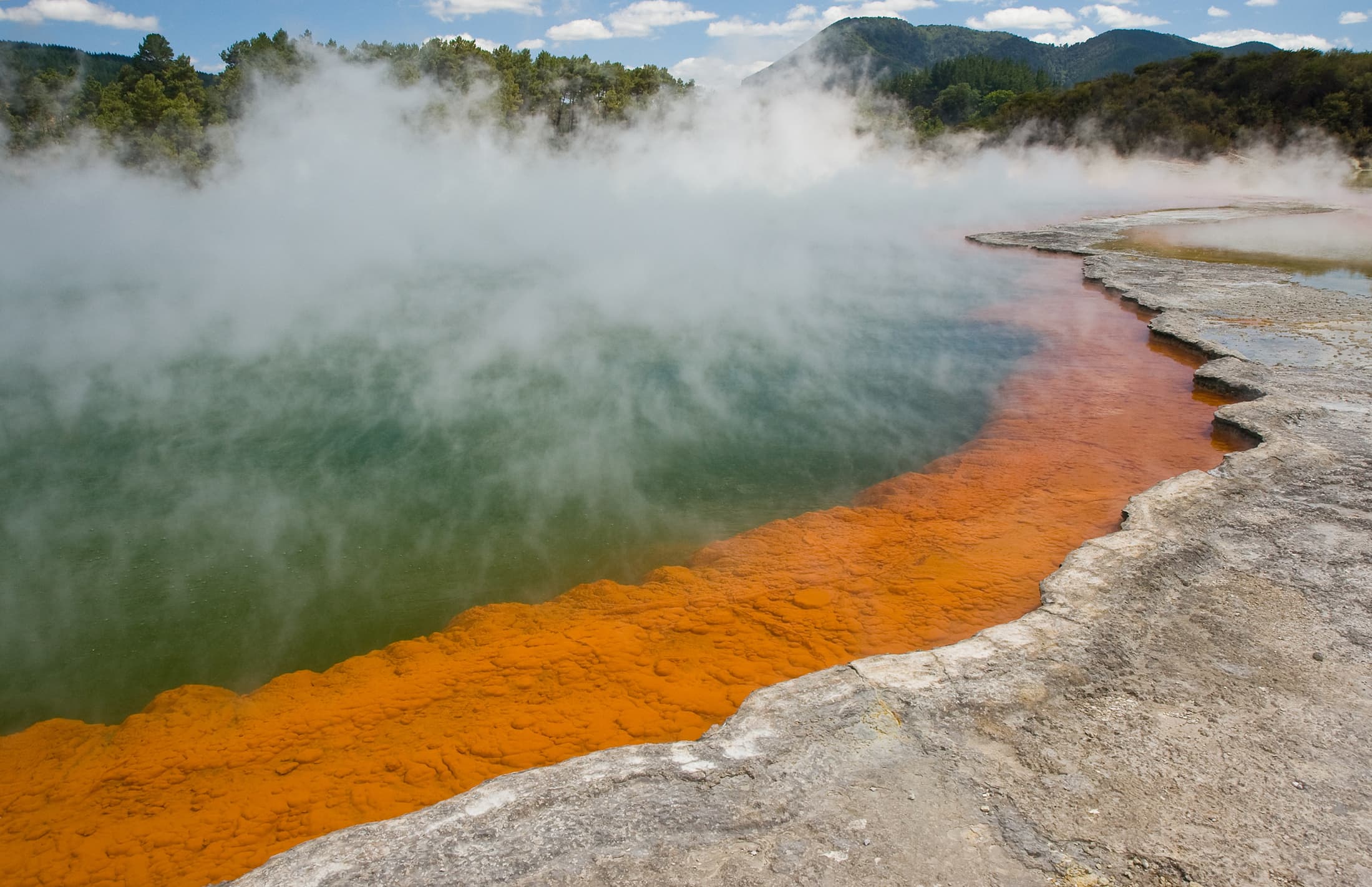 Wai-O-Tapu Thermal Wonderland (Wai-O-Tapu) — spring in Rotorua, bay-of-plenty, New Zealand