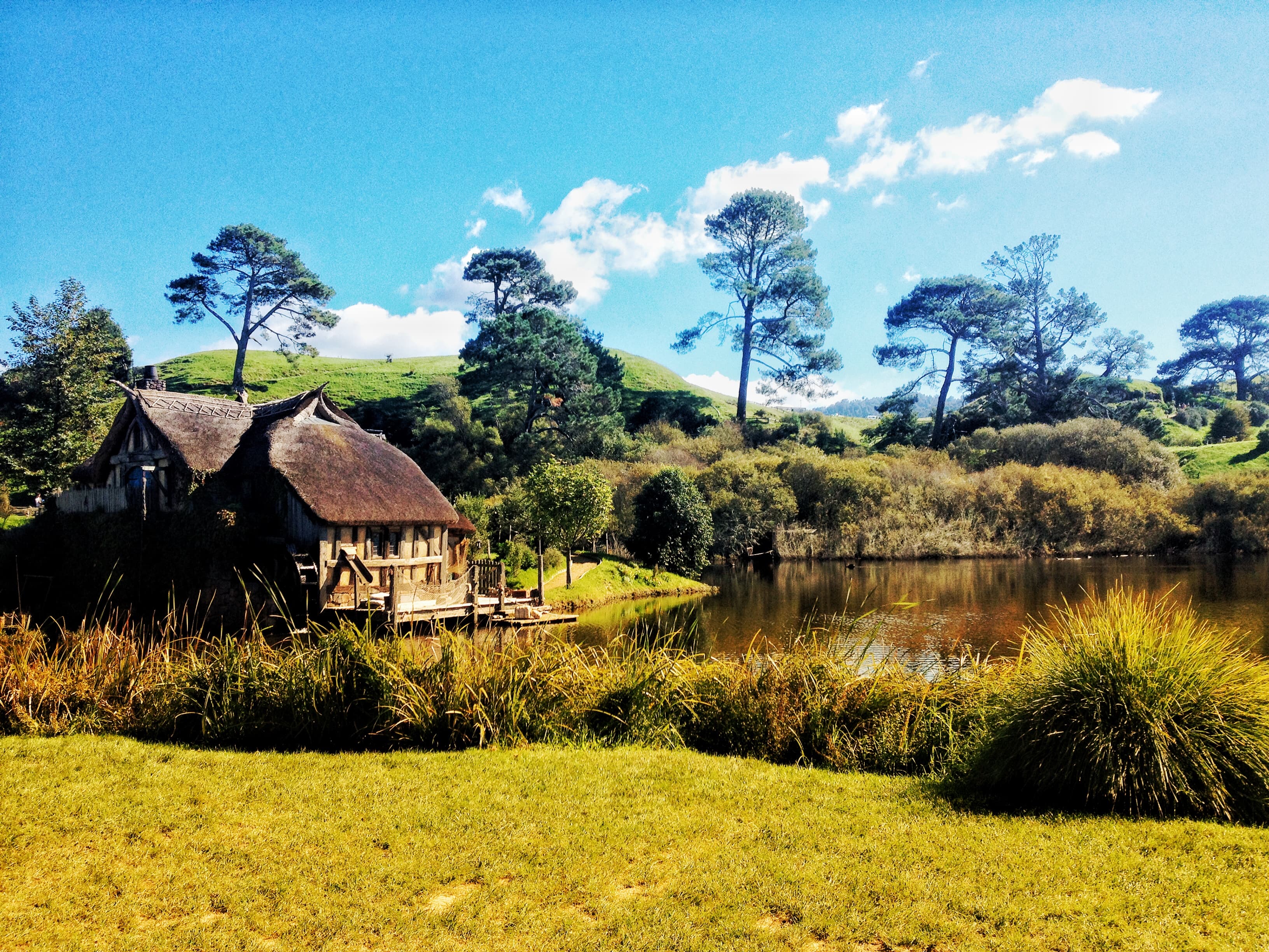 Hobbiton Movie Set — general in Matamata, waikato, New Zealand