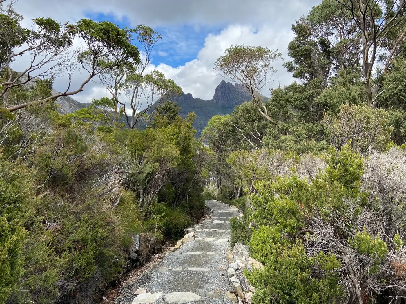 Boardwalk track leading towards Cradle Mountain summit