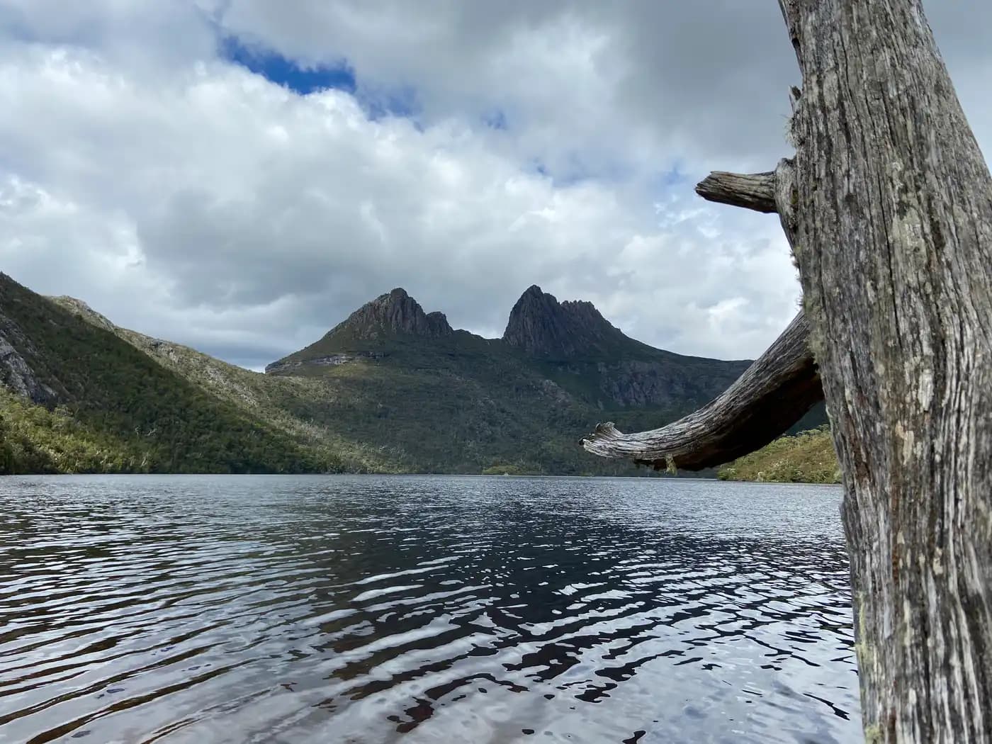 Cradle Mountain through dead tree branch over Dove Lake