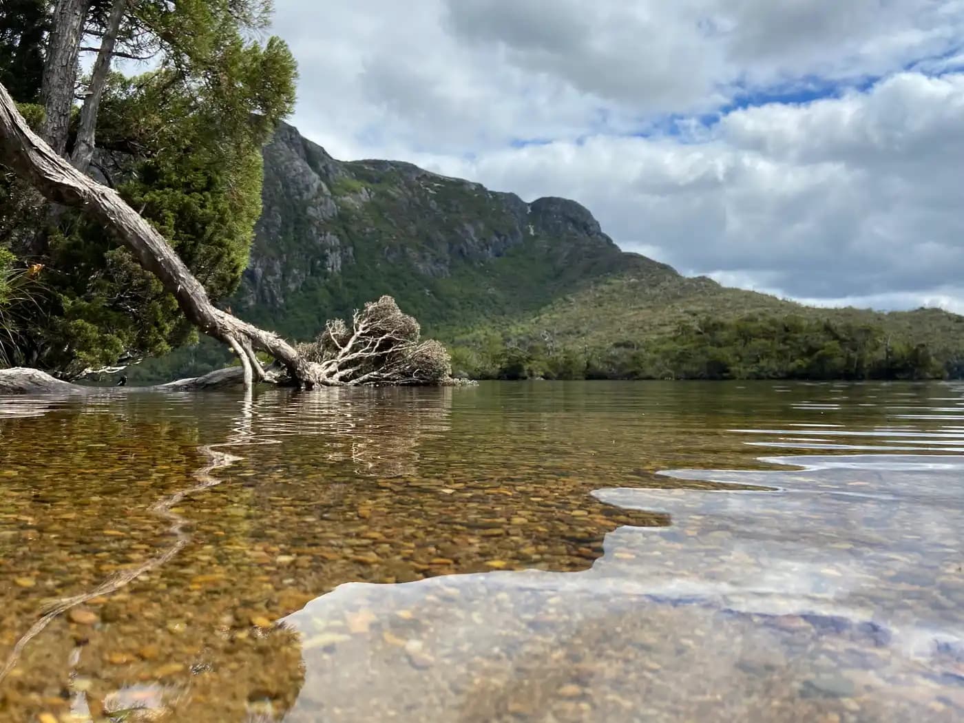 Crystal clear lake water with fallen tree and mountain