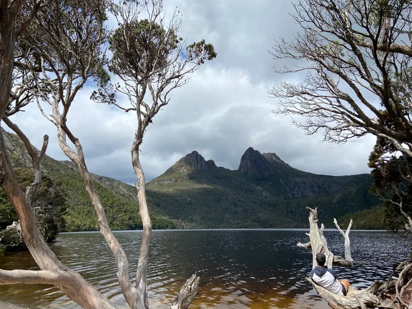 Dove Lake framed by pencil pines with Cradle Mountain