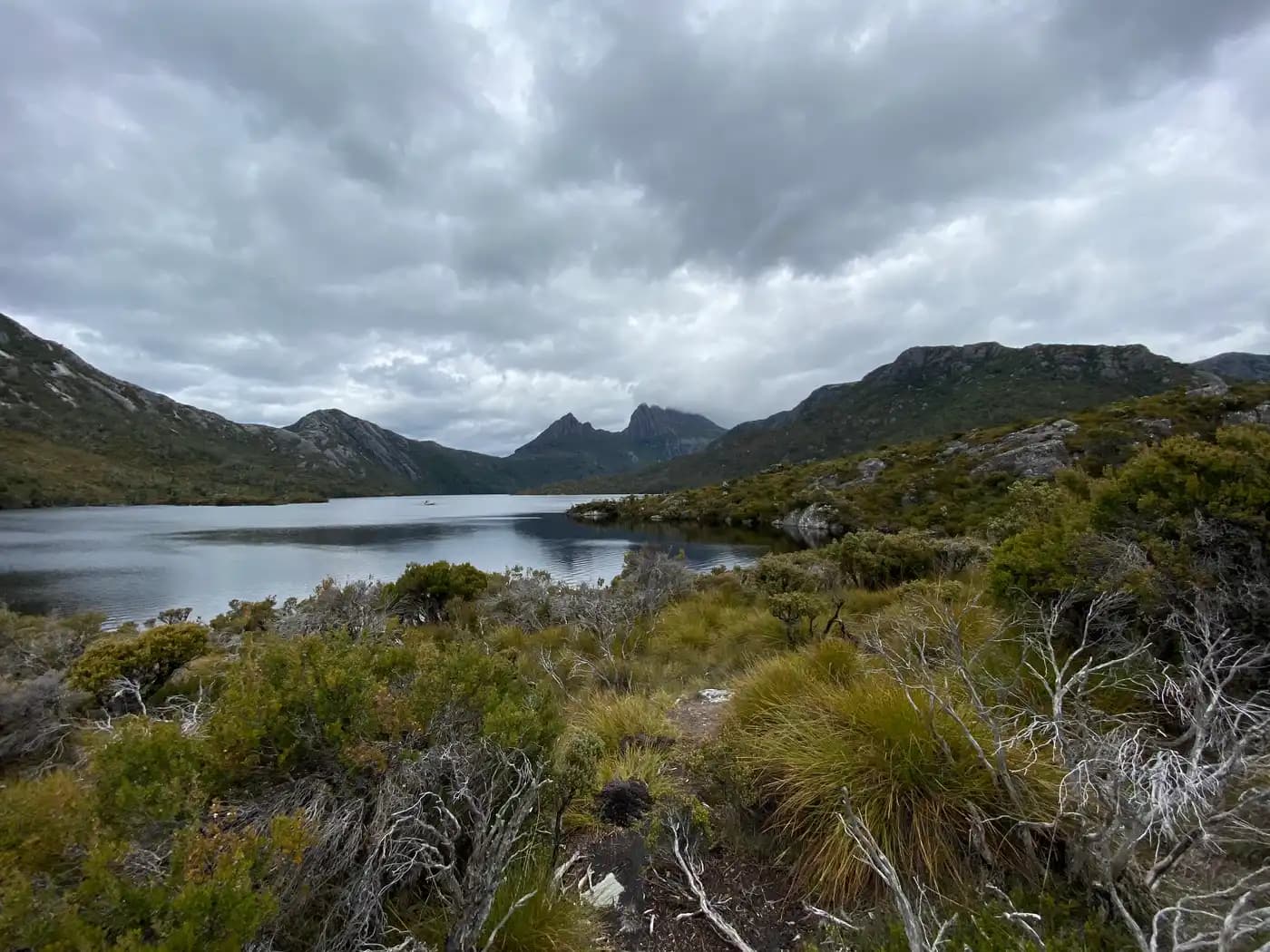 Dove Lake panorama from the circuit walking track