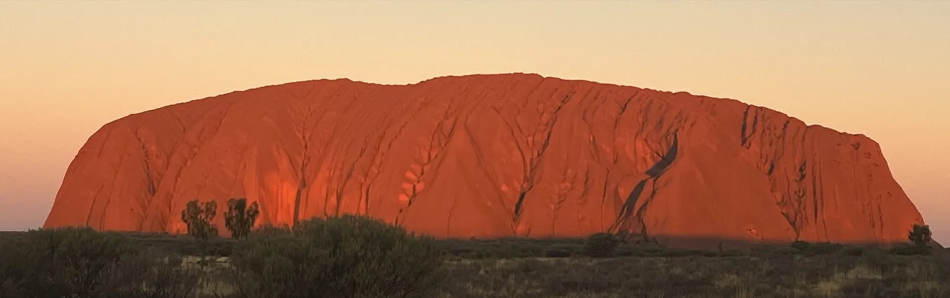 Uluru glowing deep crimson red at sunset, panoramic view across the desert plain