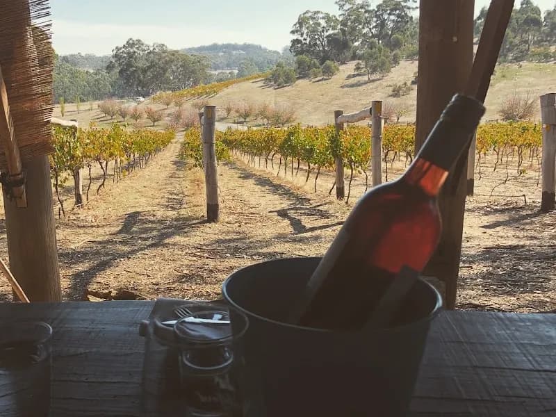 Olive Hills Estate winery in Rutherglen, VIC