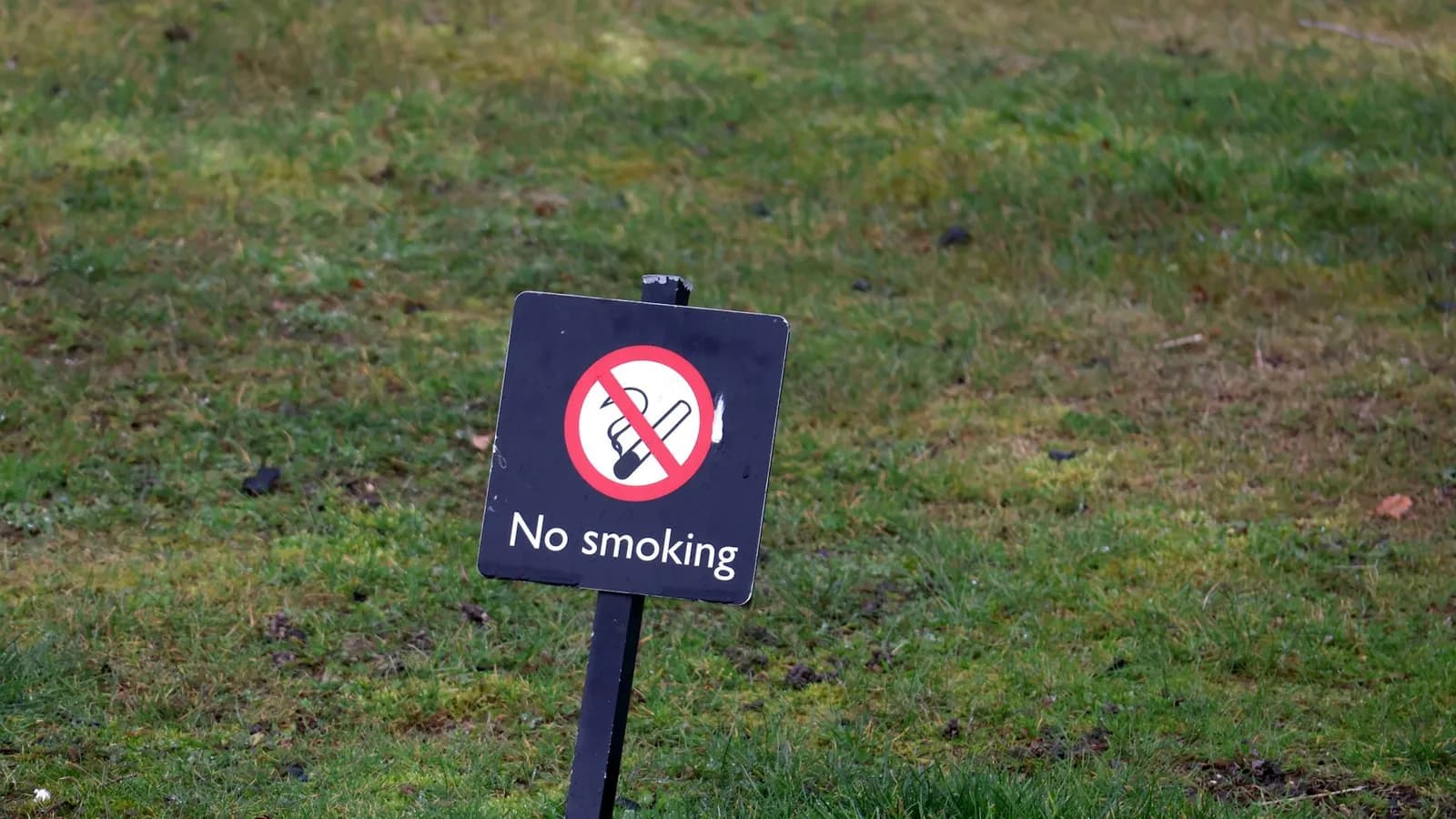 A no-smoking sign on a green lawn indicating a smoke-free outdoor area.