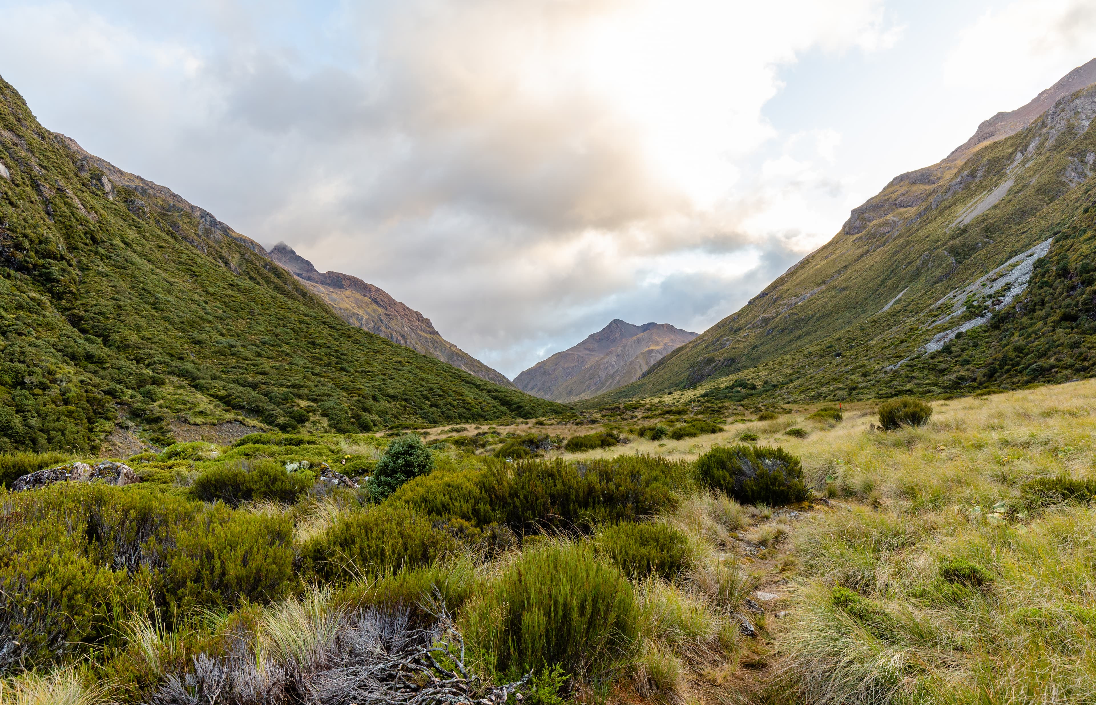 Arthur's Pass National Park — national park in Canterbury, canterbury, New Zealand