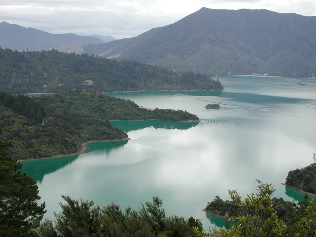Queen Charlotte Track in Marlborough, marlborough, New Zealand