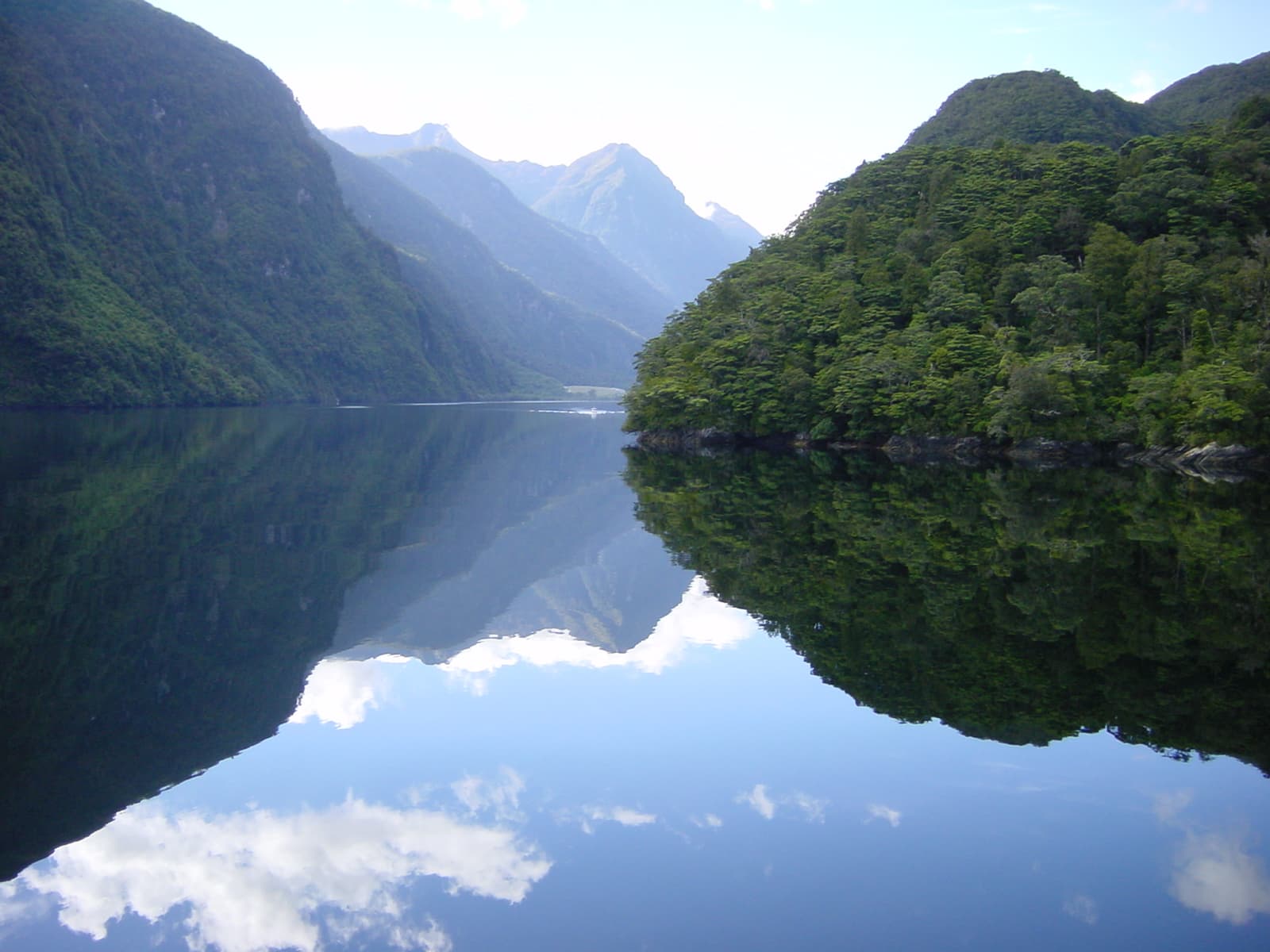 Doubtful Sound (Patea) — cliff in Fiordland, southland, New Zealand
