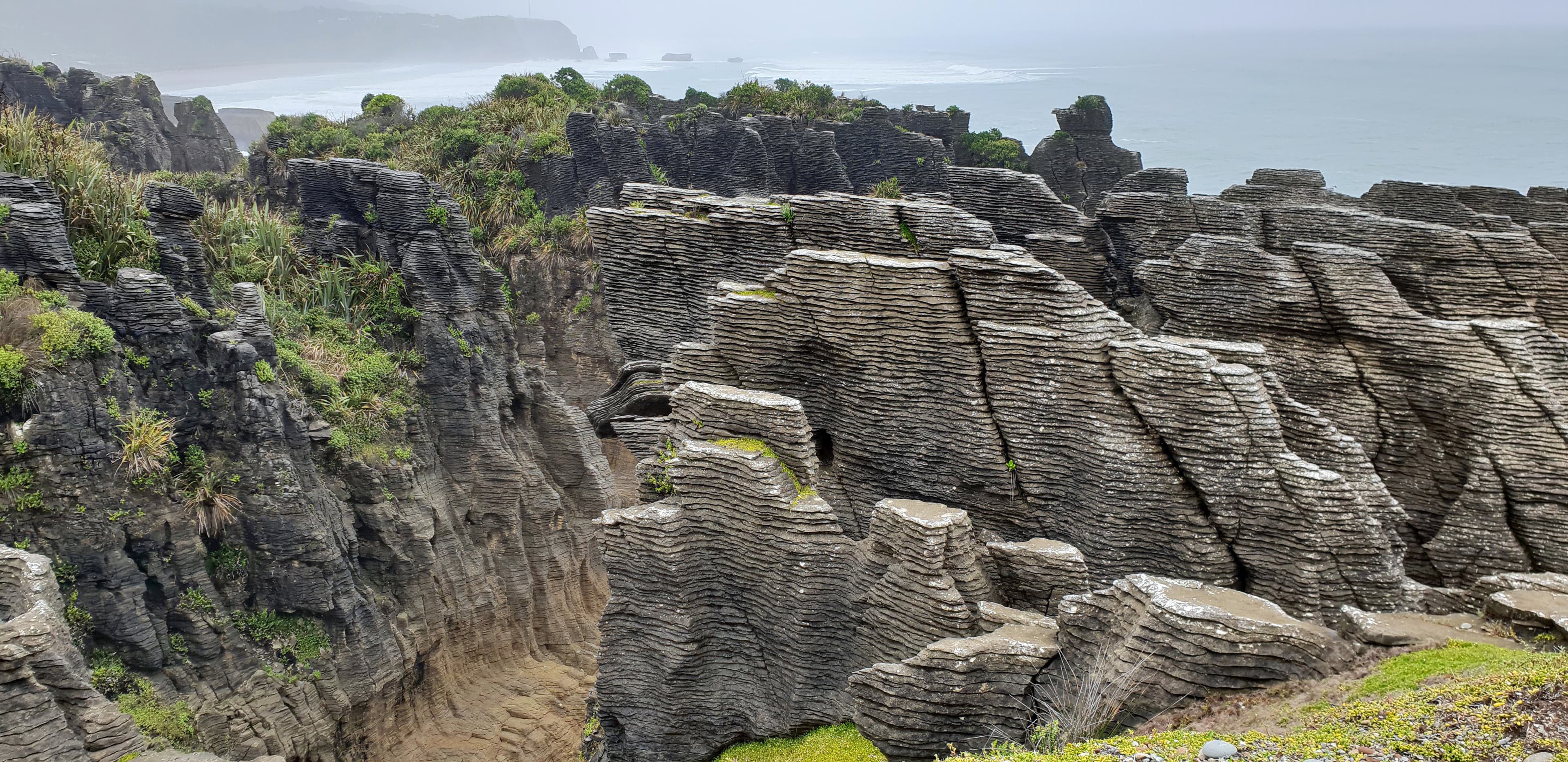 Paparoa National Park — national park in West Coast, west-coast, New Zealand