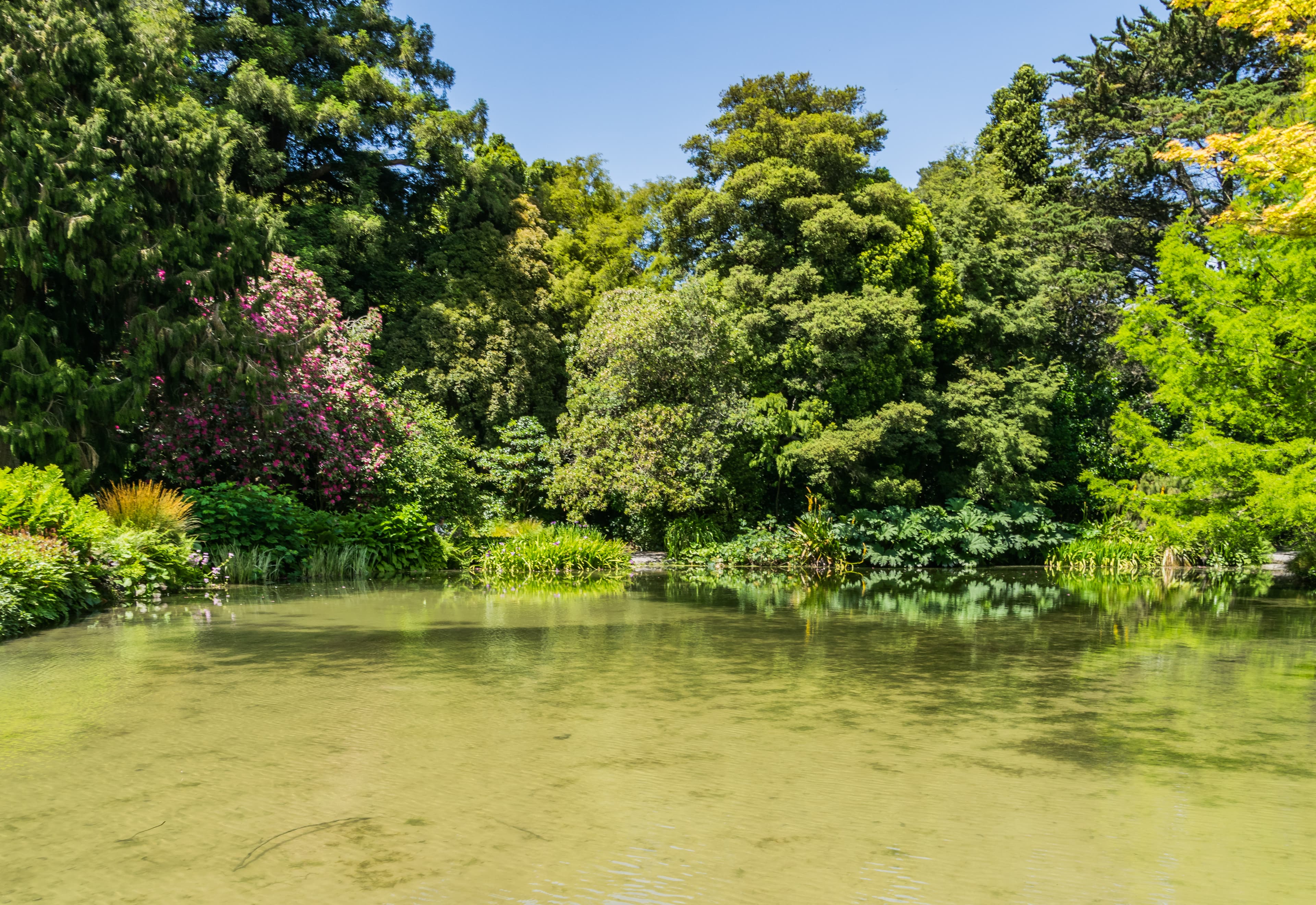 Christchurch Botanic Gardens — botanical garden in Christchurch, canterbury, New Zealand